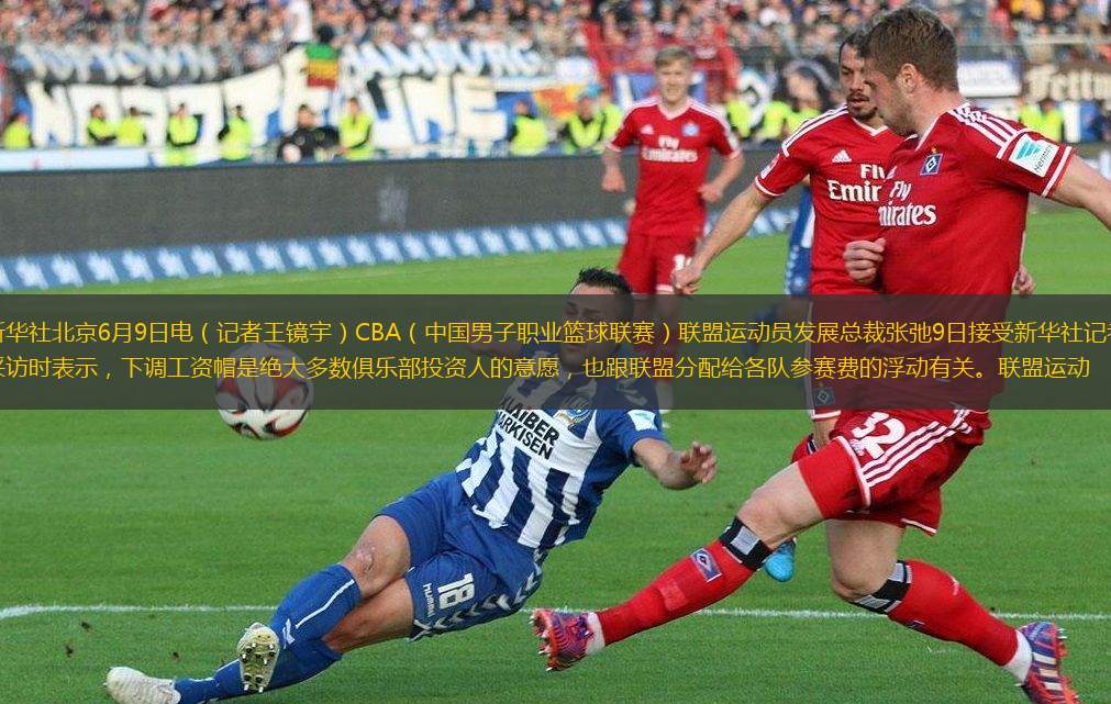 陣容之一